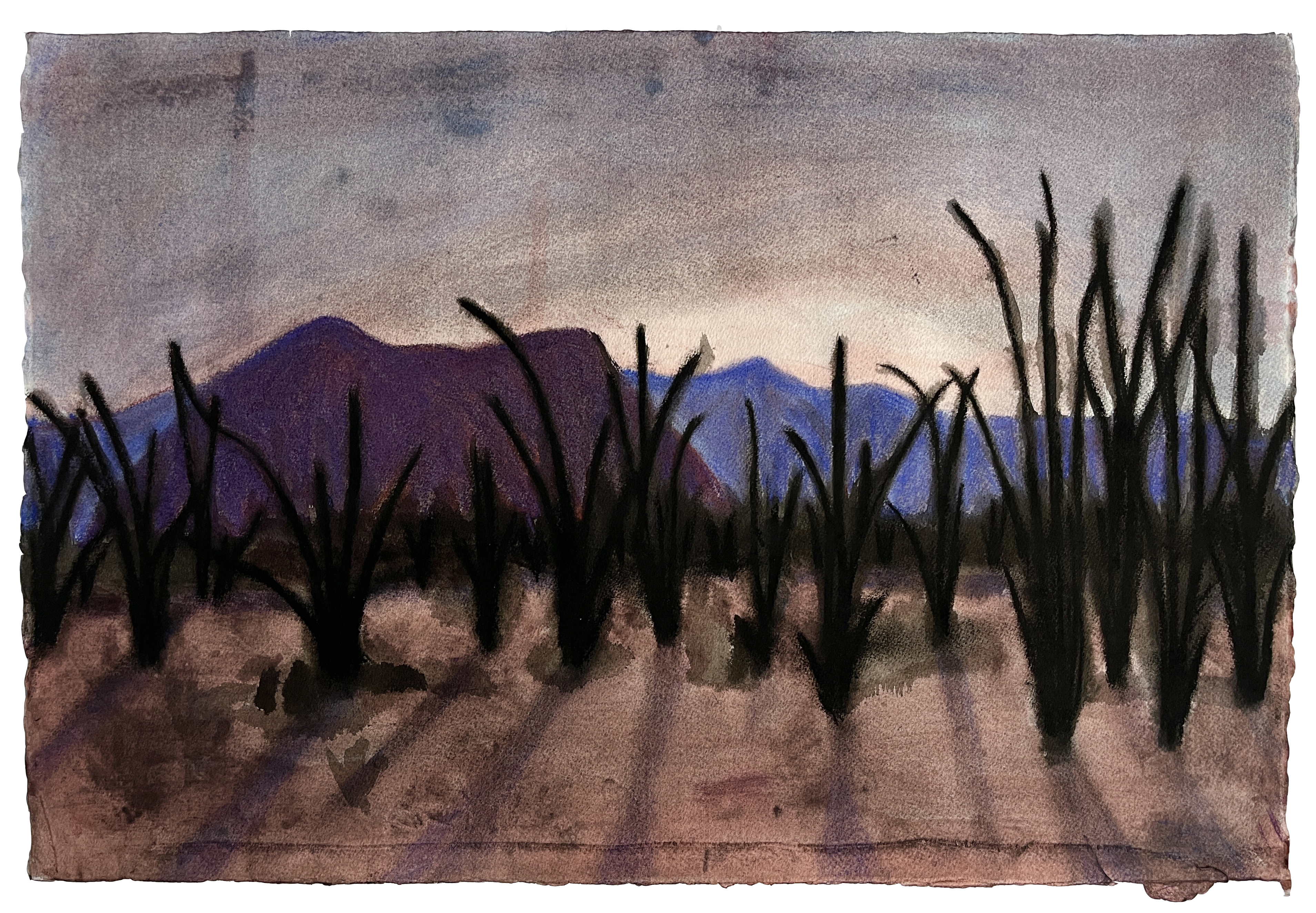 Ocotillo Shadows Sunrise, 15x22_, ink, charcoal and soft pastel on watercolor paper, 2025, AVAILABLE